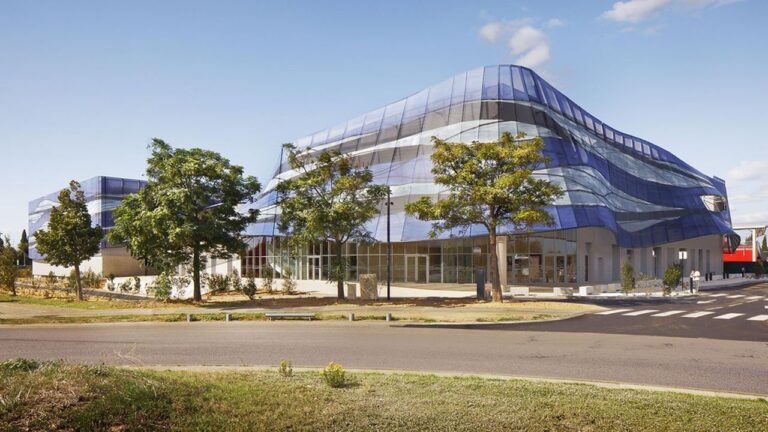 Le sport professionnel à Nîmes en 2026 : clubs, performances et enjeux 🟡🔴