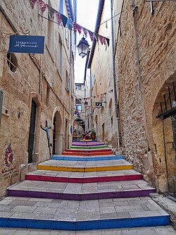 Rue du Bras de Fer à Montpellier : une ruelle emblématique du centre historique