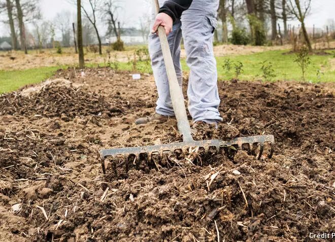 Comment préparer la terre du potager en février dans le sud de la France