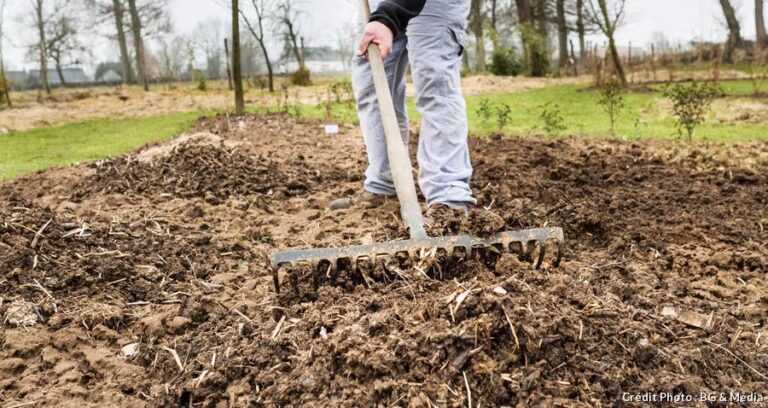 Comment préparer la terre du potager en février dans le sud de la France