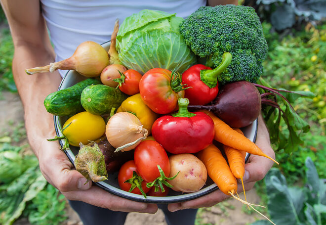 Mise en avant de 3 producteurs de fruits et légumes à Narbonne 🍎🥕🌿