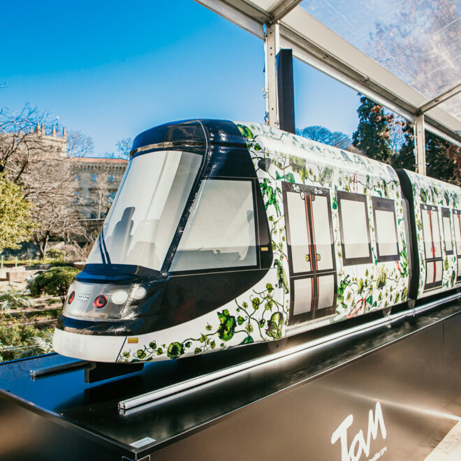 Tout savoir sur les tramways à Montpellier : un réseau incontournable
