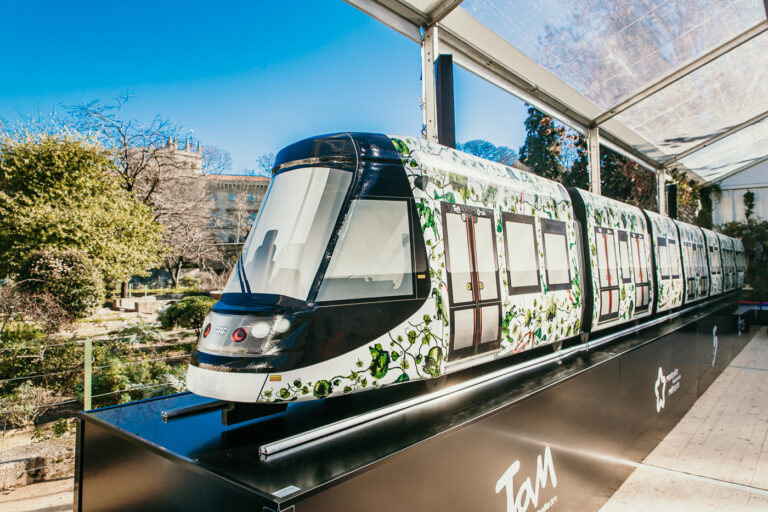 Tout savoir sur les tramways à Montpellier : un réseau incontournable