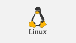 Linux à Montpellier : une ville qui bouillonne d’open source 🐧💻