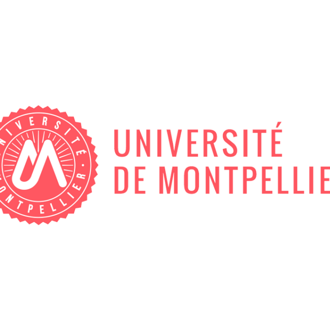 Les universités à Montpellier : un écosystème académique riche, international et dynamique